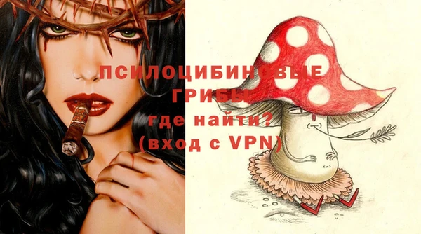 PSILOCYBIN Беломорск